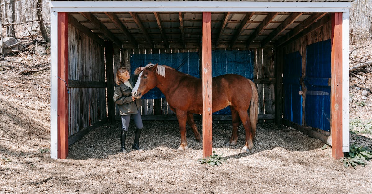 Mond梦都薄荷双爆珠：拳头公司注册账号步骤视频